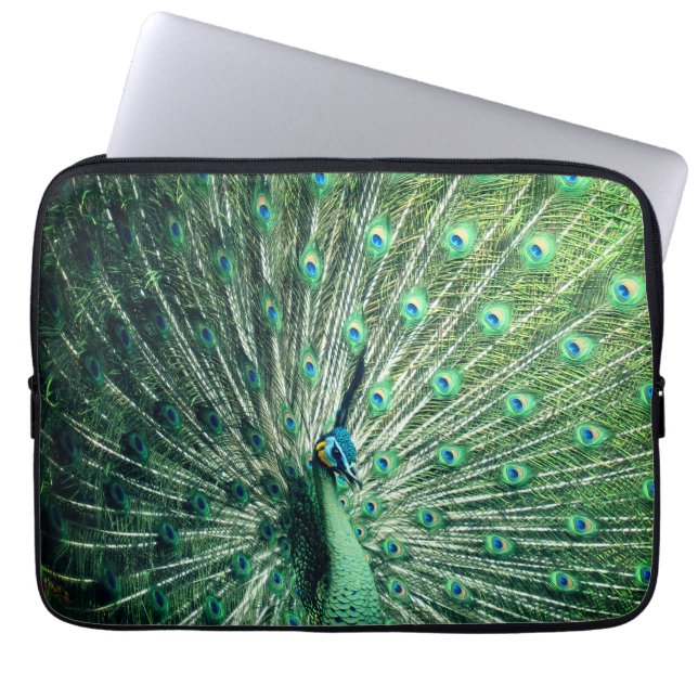 Housse Pour Ordinateur Portable Strut Peacock (Devant)