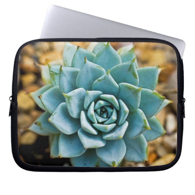 Housse Pour Ordinateur Portable Succulent (Devant)