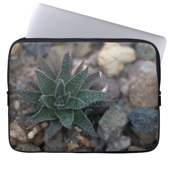 Housse Pour Ordinateur Portable Succulent sur les rochers (Devant)