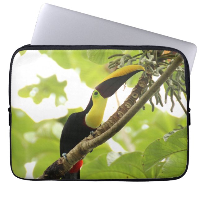 Housse Pour Ordinateur Portable Swainson Toucan (Devant)