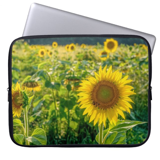 Housse Pour Ordinateur Portable Terrain de tournesol doré (Devant)