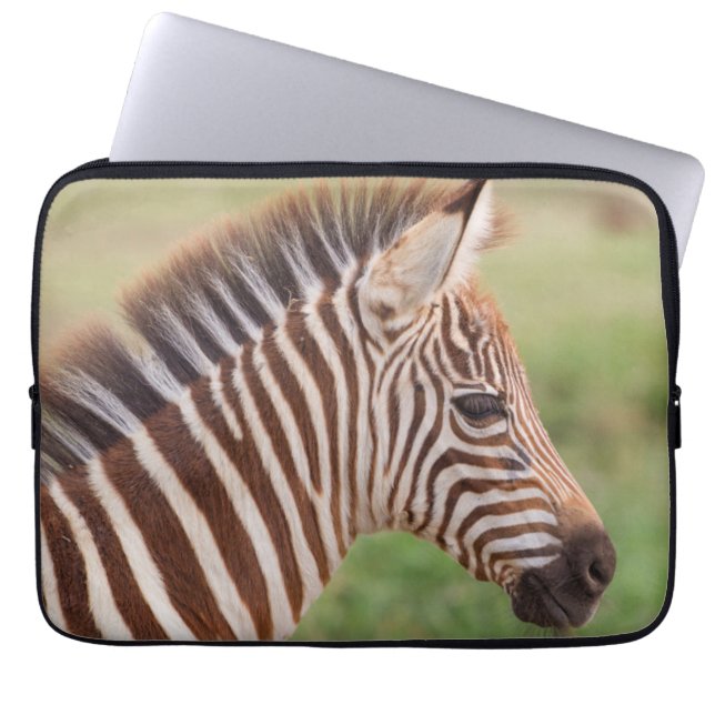 Housse Pour Ordinateur Portable Tête de zèbre bébé, Tanzanie (Devant)