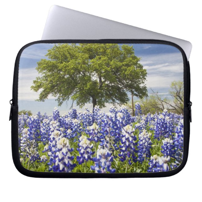 Housse Pour Ordinateur Portable Texas bleuets(lupinus texensis) et chêne (Devant)
