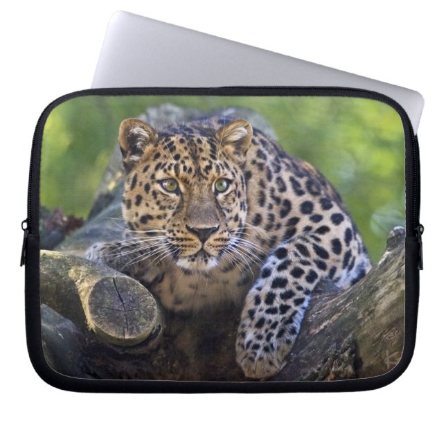 Housse pour ordinateur portable The Watcher (Devant)