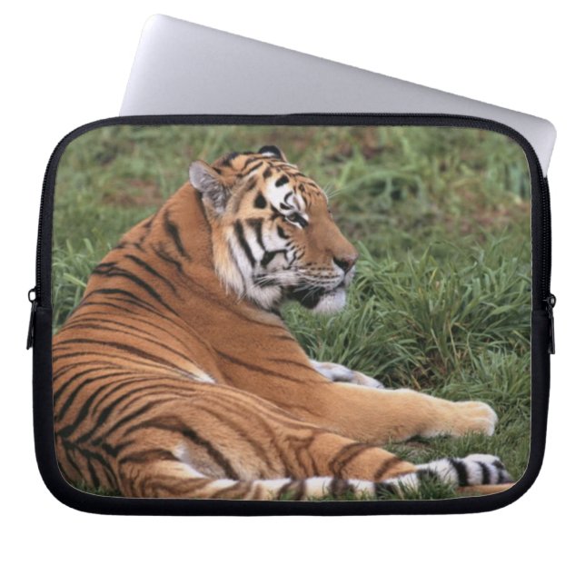 Housse Pour Ordinateur Portable Tiger Lounge Portable Sleeve (Devant)
