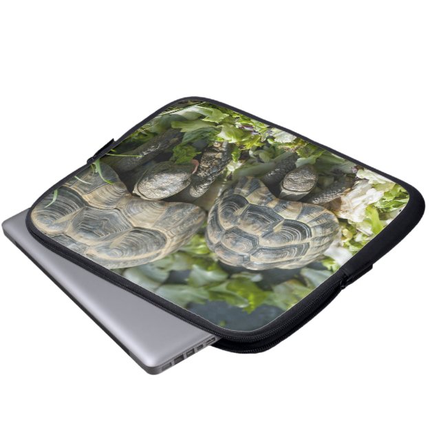 Housse Pour Ordinateur Portable Tortues (Devant bas)