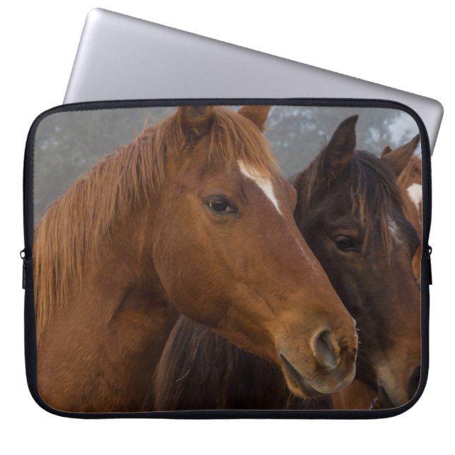 Housse Pour Ordinateur Portable Triplets de chevaux (Devant)
