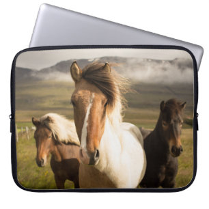 HOUSSE POUR ORDINATEUR PORTABLE TROIS CHEVAUX COULEUR COULEUR COULEUR COULEUR COUL