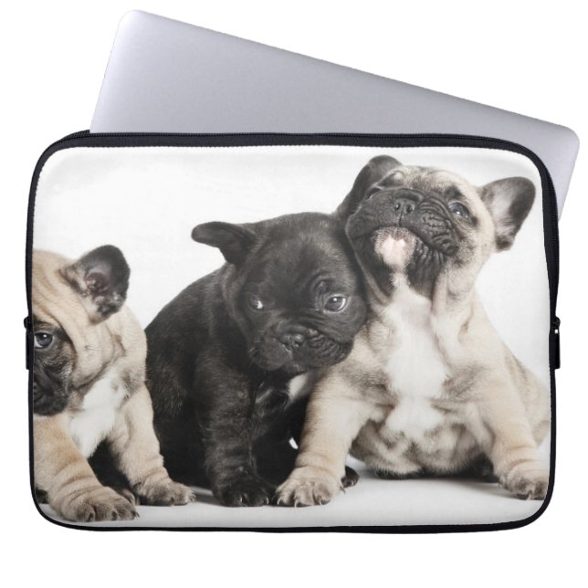 Housse Pour Ordinateur Portable Trois Chiots Carlins (Devant)