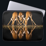 Housse Pour Ordinateur Portable Trois impalas boivent ensemble la nuit<br><div class="desc">Afrique,  Afrique de l'Est,  Kenya,  Grand Rift,  Réserve d'Olkirimatian,  impala,  Aepyceros melampus.  Trois impalas boivent ensemble la nuit.</div>