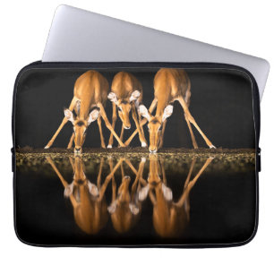 Housse Pour Ordinateur Portable Trois impalas boivent ensemble la nuit