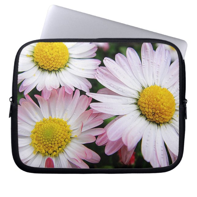 Housse Pour Ordinateur Portable Trois marguerites rose et blanc (Devant)