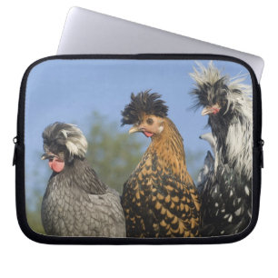 Housse Pour Ordinateur Portable Trois poulets polonais -
