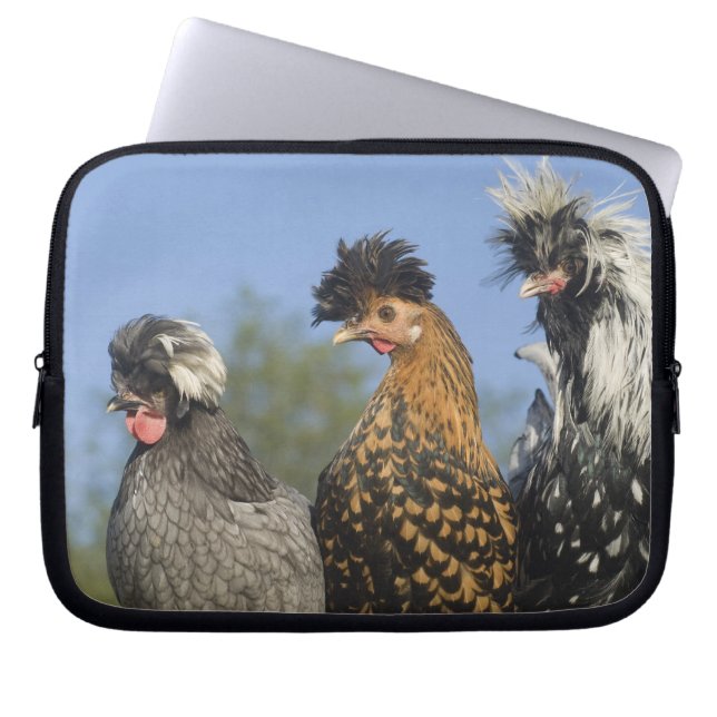 Housse Pour Ordinateur Portable Trois poulets polonais - (Devant)