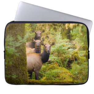 Housse Pour Ordinateur Portable Trois Vaches De Elk Roosevelt Regardant Vue