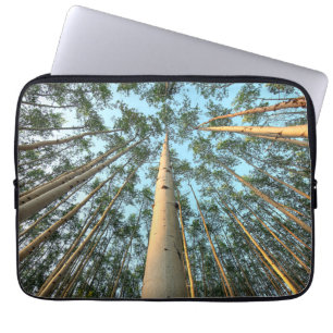 Housse Pour Ordinateur Portable Troncs et feuilles de tremble, Yukon
