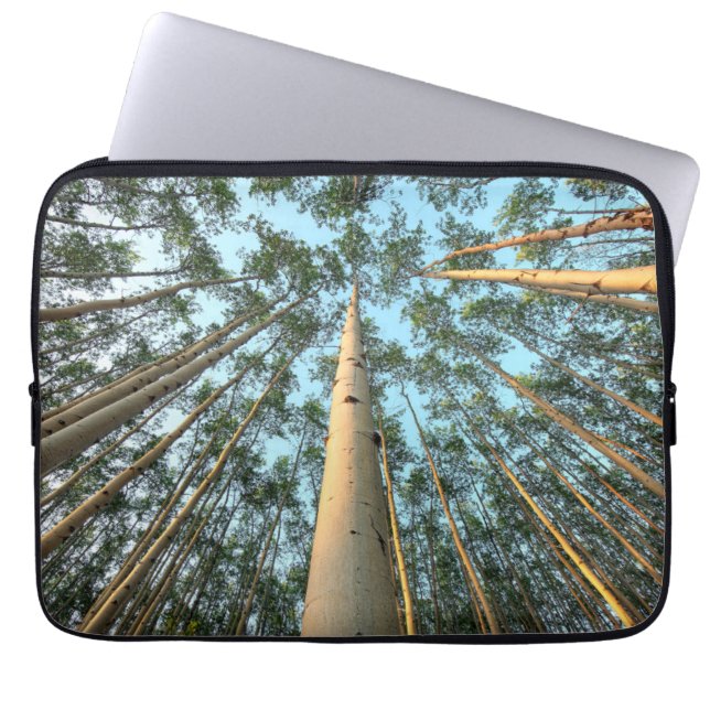 Housse Pour Ordinateur Portable Troncs et feuilles de tremble, Yukon (Devant)
