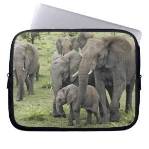 Housse Pour Ordinateur Portable troupeau d'éléphants d'Afrique, Loxodonta africana