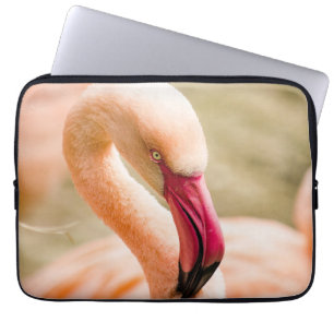 Housse Pour Ordinateur Portable Un Beau Flamant rose Rose