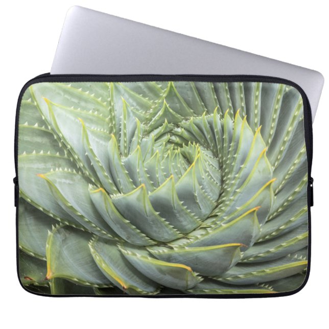 Housse Pour Ordinateur Portable Un Succulent vert et blanc (Devant)