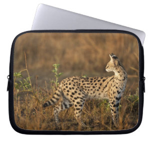 Housse Pour Ordinateur Portable Upper Mara, réserve de gibier Masai Mara, Kenya,
