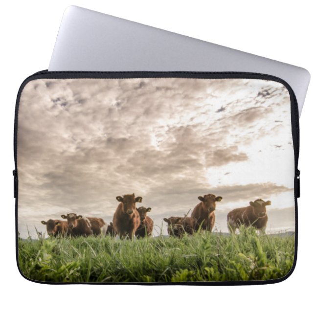 Housse Pour Ordinateur Portable Vaches (Devant)