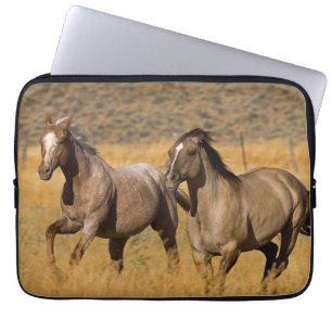 Housse Pour Ordinateur Portable Vie de ranch à The Ponderosa Ranch