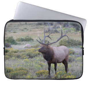Housse Pour Ordinateur Portable Wapiti d'Amérique Parc national de Rocky, Colora