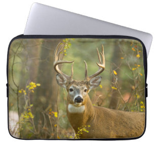 Housse Pour Ordinateur Portable Whitetail Deer Buck Whitefish, Montana