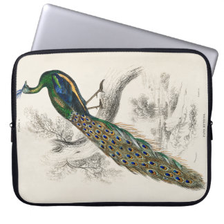 Housse Pour Ordinateur Portable William Jardine - Portrait d'un paiphaile mâle maj