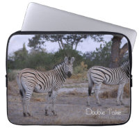 Zebra Twins Double Take Photo