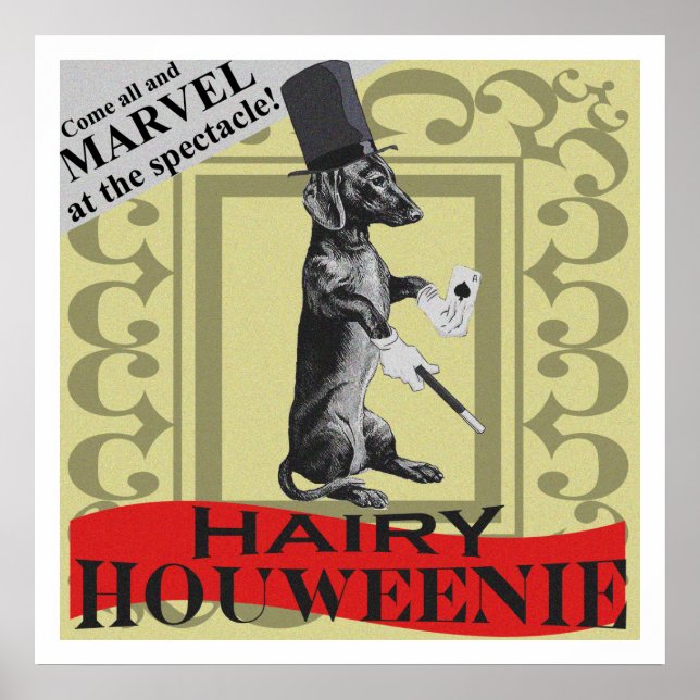Houweenie poilue ! Poster de Wiener Dog "Carnival" (Devant)