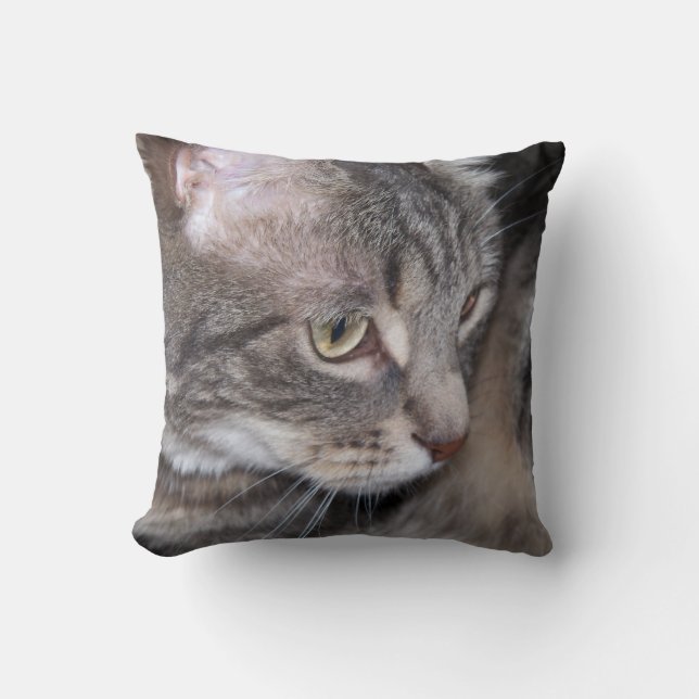 Houx étant coussin réfléchi (Recto)