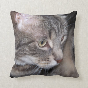 Houx étant coussin réfléchi