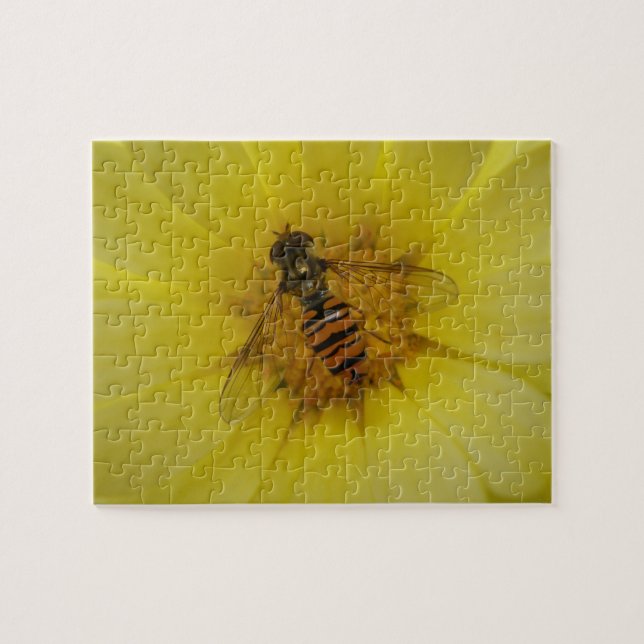 Hoverfly sur un puzzle Marigold (Horizontal)