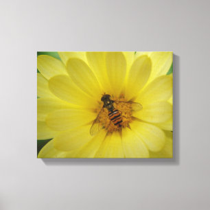 Hoverfly sur une toile Marigold imprimer