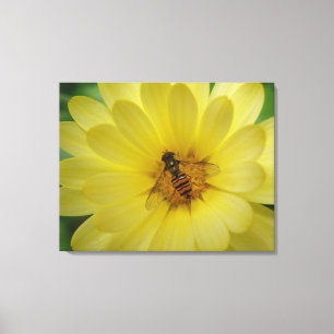 Hoverfly sur une toile Marigold imprimer