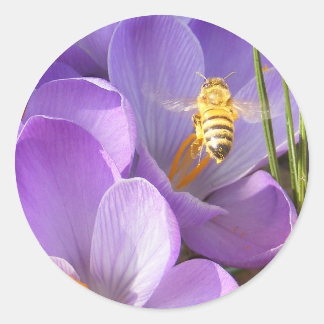 Hovering Bee ~ autocollant (Devant)