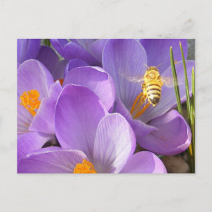 Hovering Bee ~ carte postale