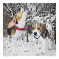 Howling Beagle Pup & Beagle Buddy Poster