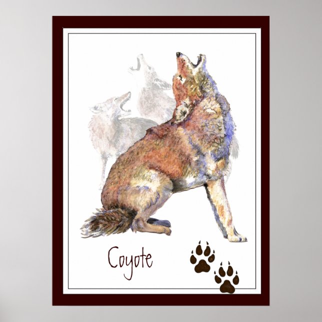 Howling Coyote Original Aquarelle Poster animal (Devant)