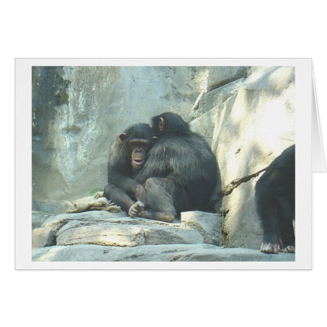 Huggin Chmps (Devant horizontal)