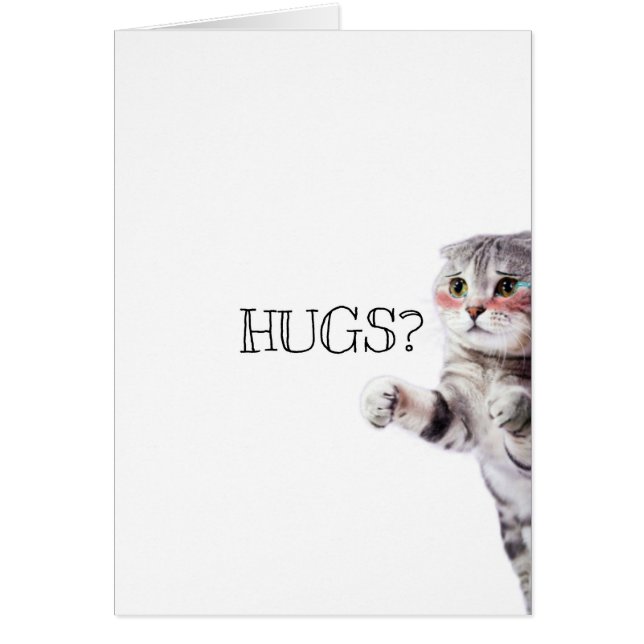 HUGS ? Kitten (Devant)