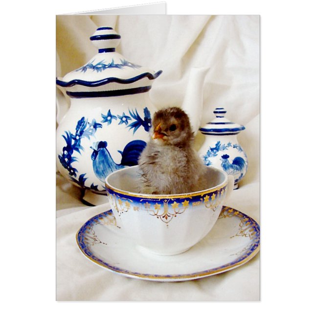 Huile Paint Effet Chick et Tea Cup en Studio (Devant)