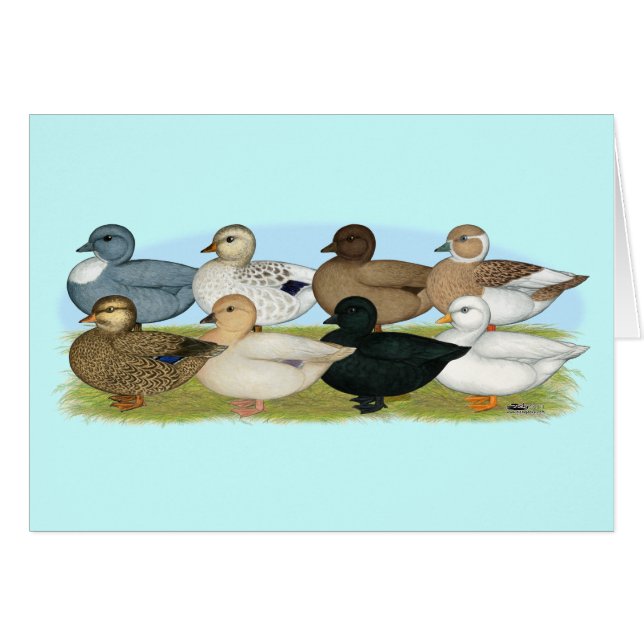 Huit canards d'appel (Devant Horizontal)