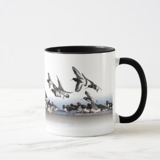 Huîtriers de alimentation tasse