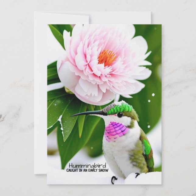 Humming Bird in the Snow - Carte plate (Devant)