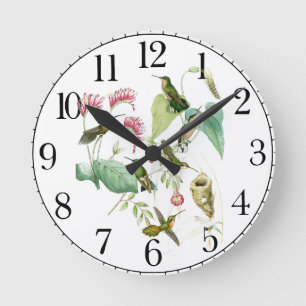 Hummingbird Bird Wildlife Floral Horloge murale