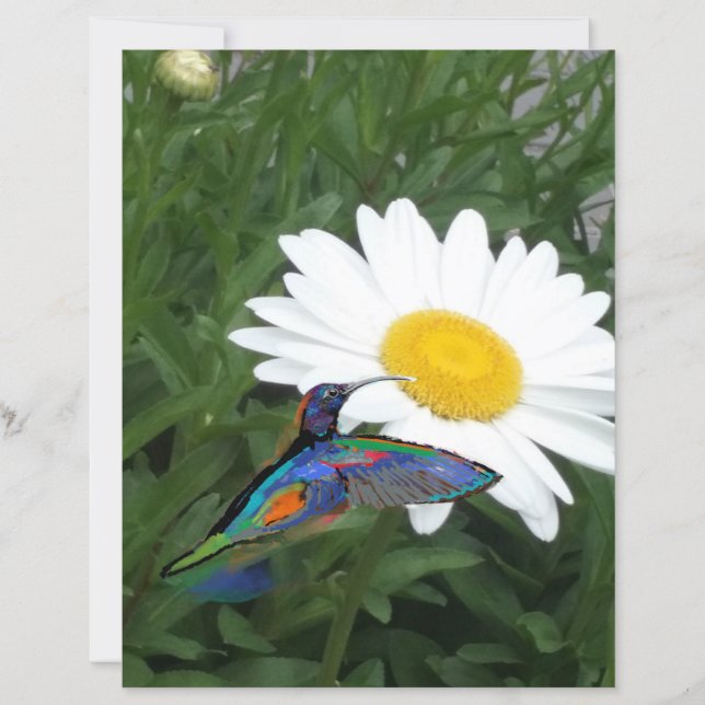 Hummingbird themed Scrapbook paper  (Devant)