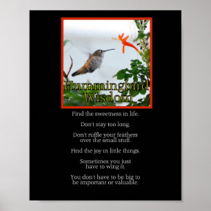 Hummingbird Wisdom Poster